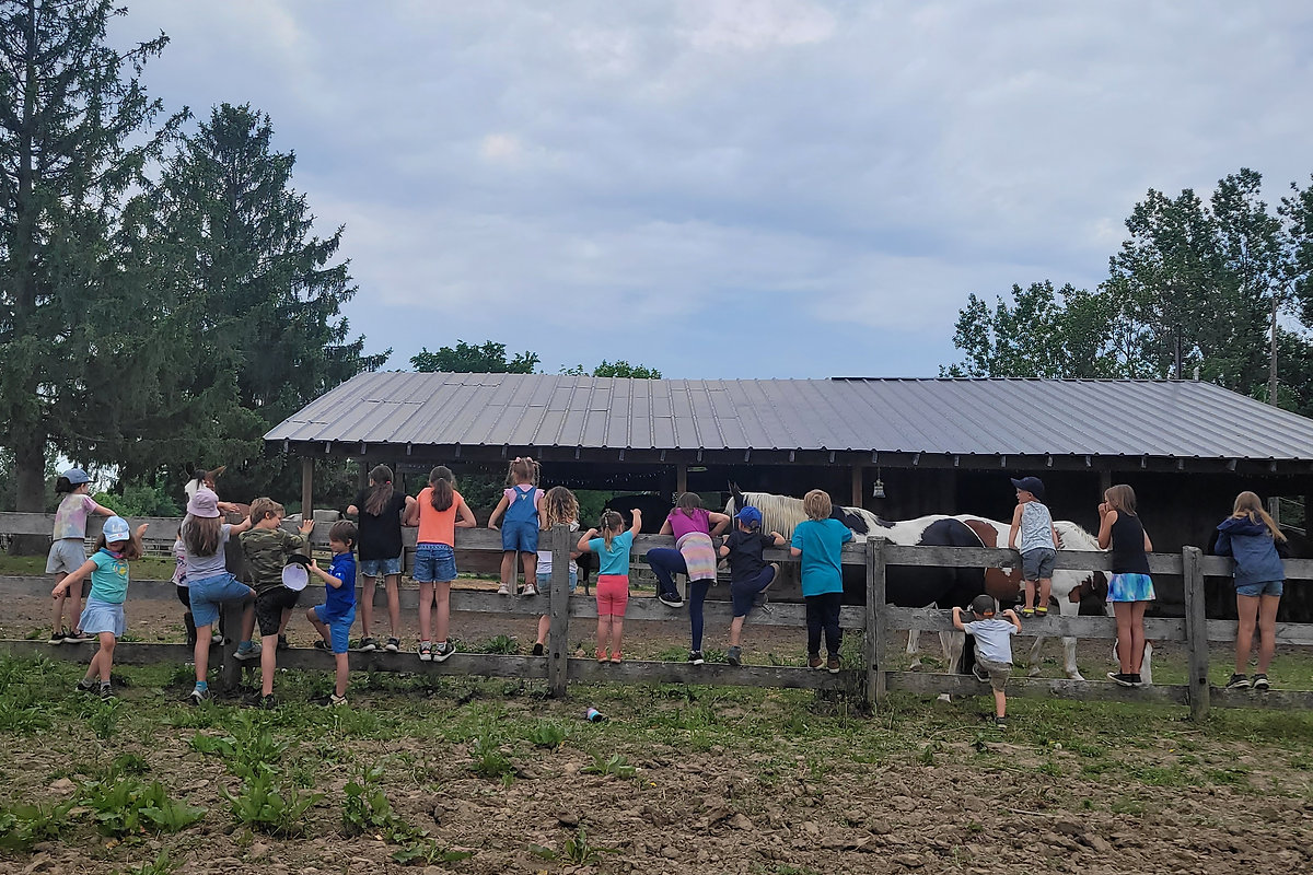 Children learning together outdoors at Nature Nurtures